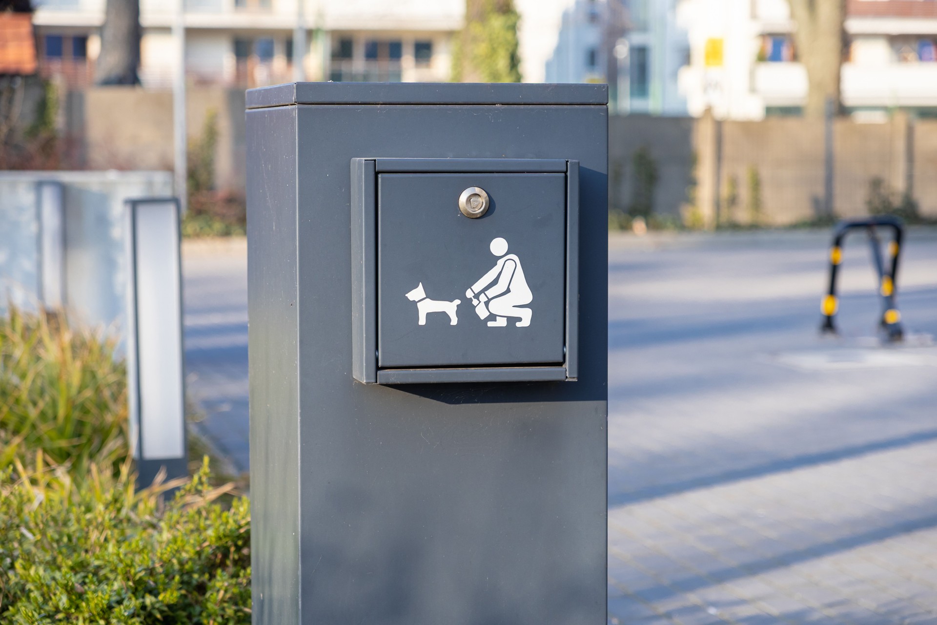 Public pet waste bin with dog cleanup symbol on urban street encouraging responsible pet ownership and clean environment awareness